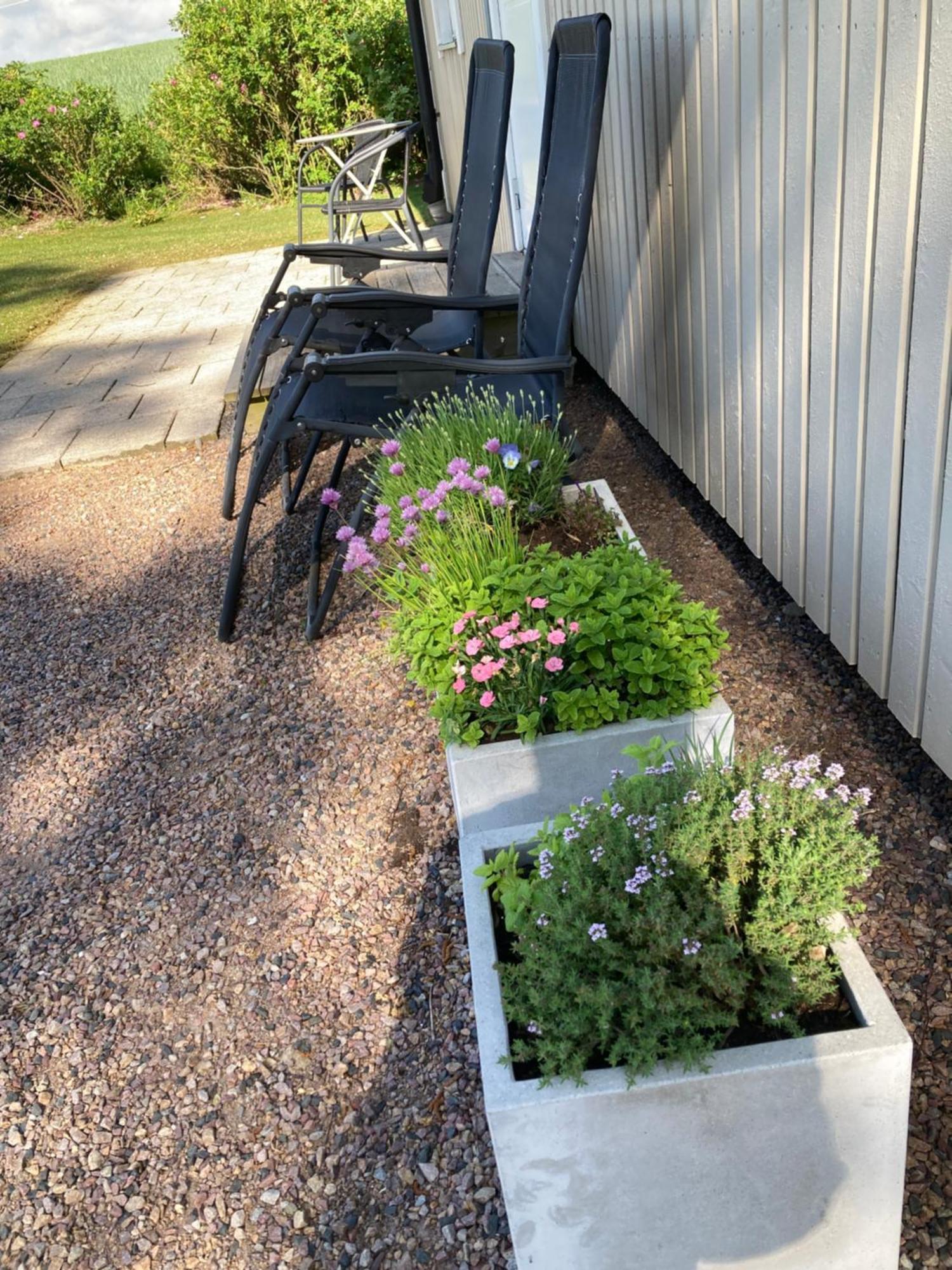 הוילה Skurup Slimmingegarden 1019 מראה חיצוני תמונה